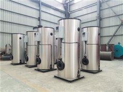  3吨承压热水雷火在线（中国）唯一官方网站