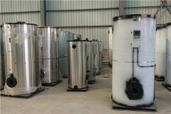 12吨冷凝燃油雷火在线（中国）唯一官方网站