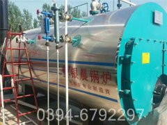 15吨蒸汽燃煤雷火在线（中国）唯一官方网站