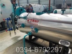 20吨燃煤雷火在线（中国）唯一官方网站价格