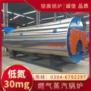 1吨真空燃气雷火在线（中国）唯一官方网站