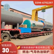 2吨低氮雷火在线（中国）唯一官方网站