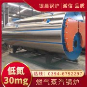 1吨低氮雷火在线（中国）唯一官方网站