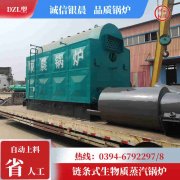1吨低氮冷凝雷火在线（中国）唯一官方网站