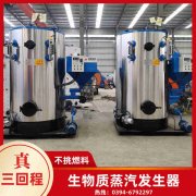 4吨燃煤蒸汽雷火在线（中国）唯一官方网站