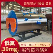 1吨蒸汽雷火在线（中国）唯一官方网站