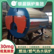 8吨低氮雷火在线（中国）唯一官方网站
