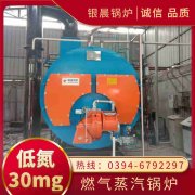 10吨低氮冷凝雷火在线（中国）唯一官方网站