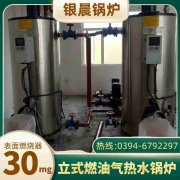两吨蒸汽雷火在线（中国）唯一官方网站