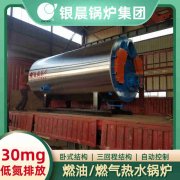 节能型燃煤热水雷火在线（中国）唯一官方网站