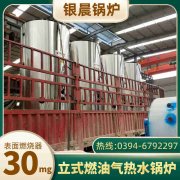 小型立式燃油蒸汽雷火在线（中国）唯一官方网站
