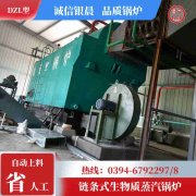 低氮冷凝蒸汽雷火在线（中国）唯一官方网站