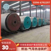 12吨燃油热水雷火在线（中国）唯一官方网站