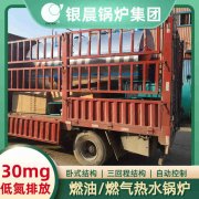 CLHS0.49-85/60-QY液化气热水雷火在线（中国）唯一官方网站