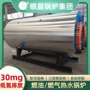 8吨燃气热水雷火在线（中国）唯一官方网站