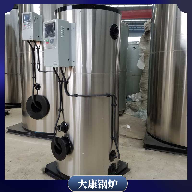 3吨燃生物质雷火在线（中国）唯一官方网站