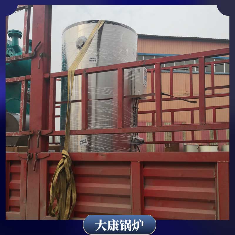 6吨的生物质雷火在线（中国）唯一官方网站