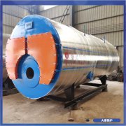 河北YYQW-700低氮雷火在线（中国）唯一官方网站