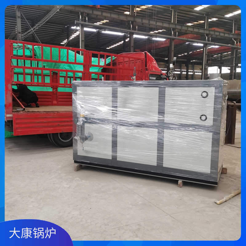 9吨生物质雷火在线（中国）唯一官方网站