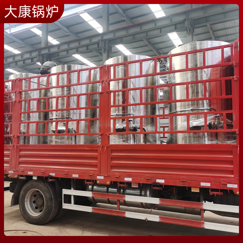6吨工业生物质蒸汽雷火在线（中国）唯一官方网站