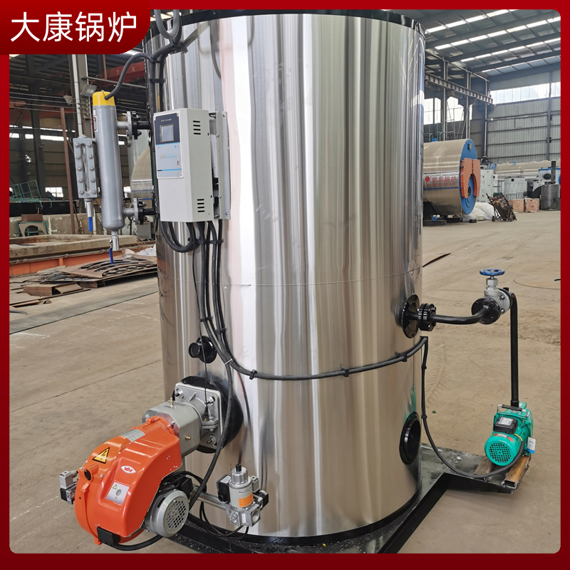 6吨的生物质雷火在线（中国）唯一官方网站