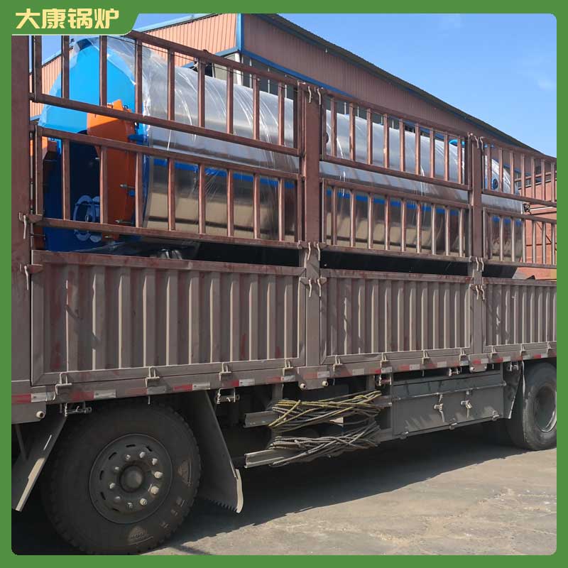 3吨燃生物质雷火在线（中国）唯一官方网站