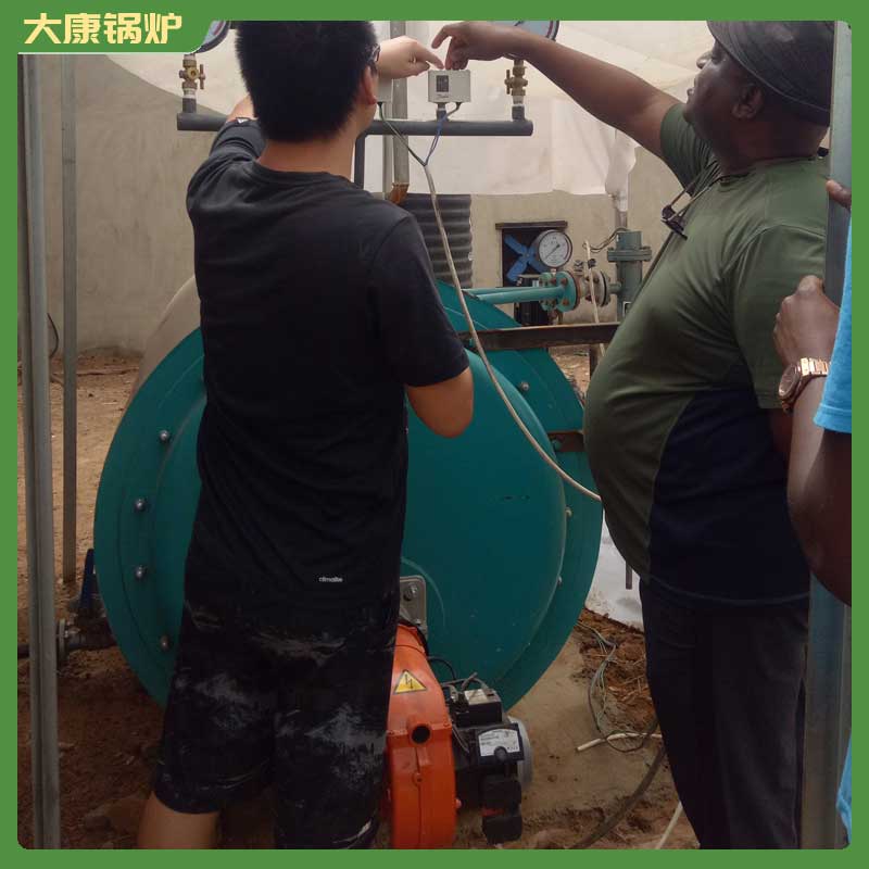四吨生物质蒸汽雷火在线（中国）唯一官方网站