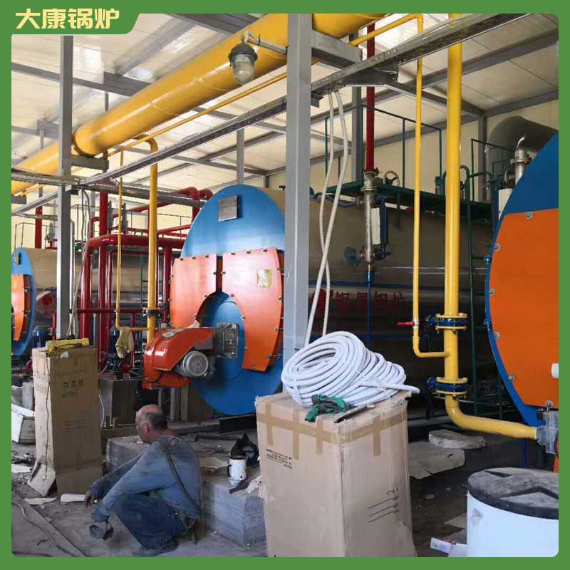 4吨生物质生物质雷火在线（中国）唯一官方网站