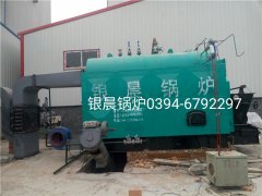 DZL2-1.25-T型2吨生物质蒸汽雷火在线（中国）唯一官方网站安装现场