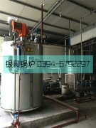 1吨贯流蒸汽雷火在线（中国）唯一官方网站安装现场