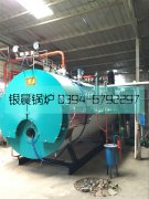 WNS2-1.25-Q型2吨燃气蒸汽雷火在线（中国）唯一官方网站安装现场