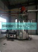 4吨燃气蒸汽雷火在线（中国）唯一官方网站运行现场