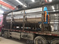 6吨燃气蒸汽雷火在线（中国）唯一官方网站